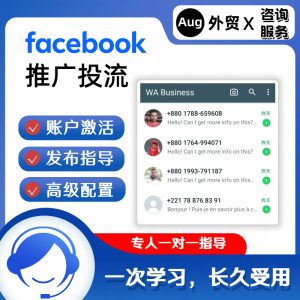 Facebook推广投流